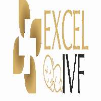 Excel IVF